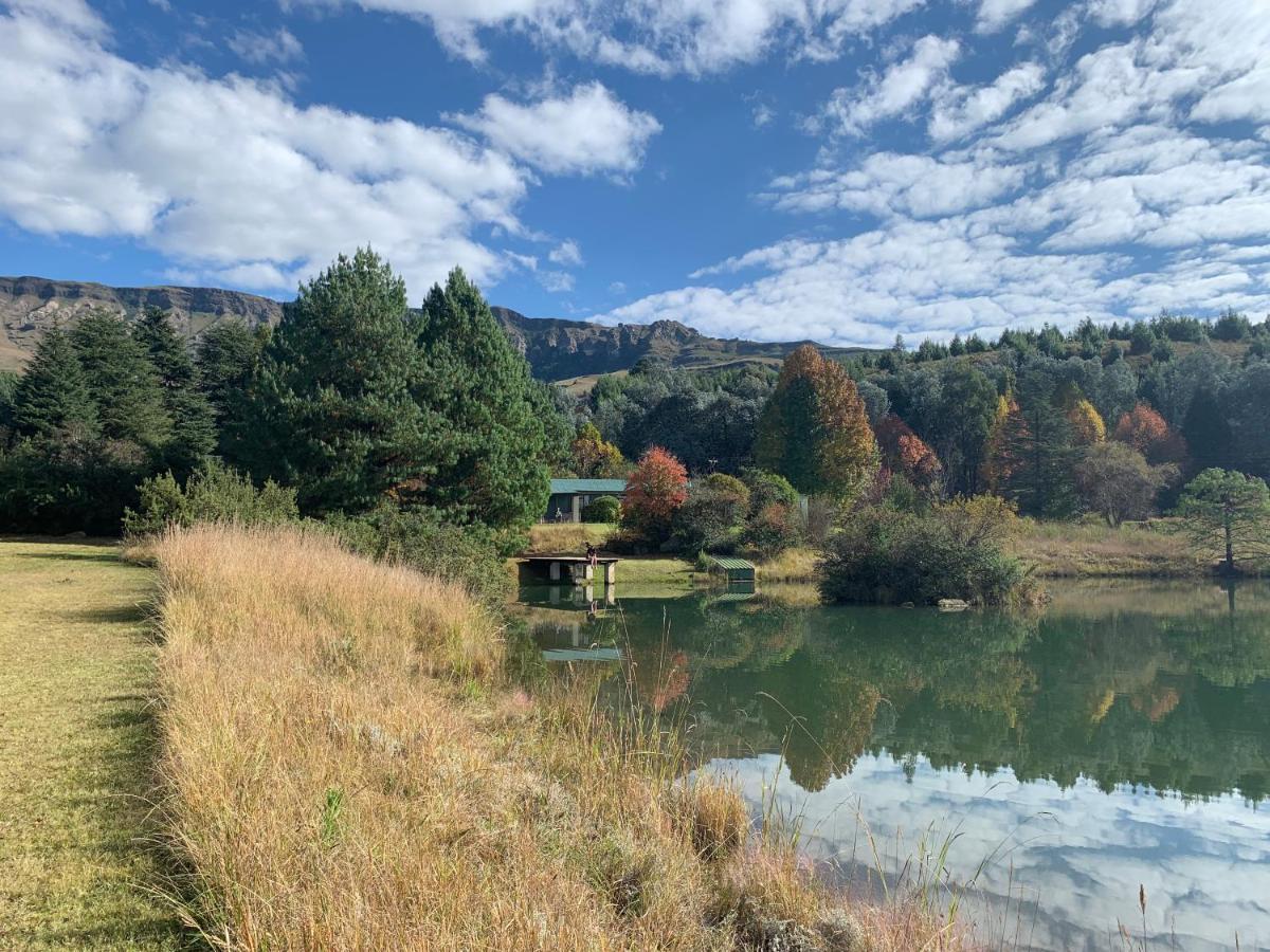 Elandskop Brackenburn Trout And Trail Retreat 아파트 외부 사진