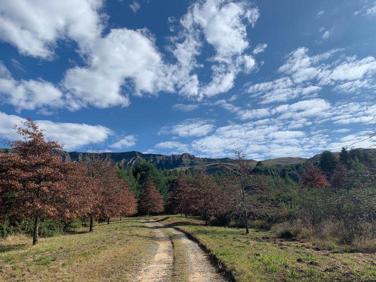 Elandskop Brackenburn Trout And Trail Retreat 아파트 외부 사진