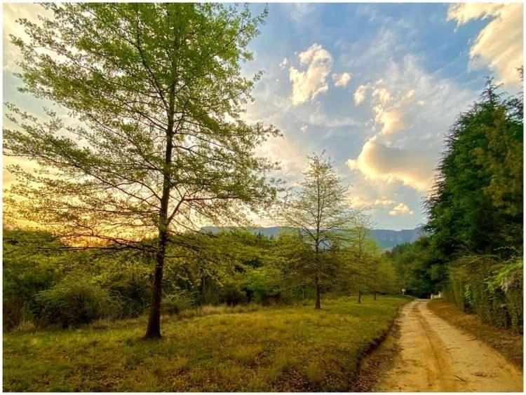 Elandskop Brackenburn Trout And Trail Retreat 아파트 외부 사진
