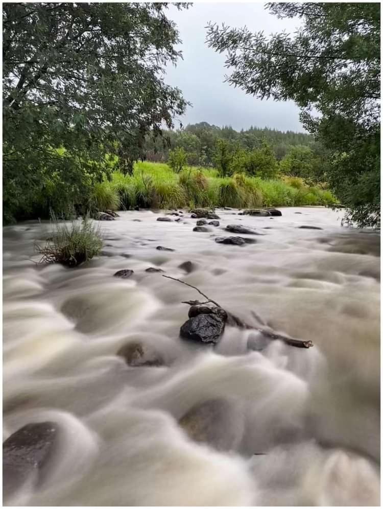 Elandskop Brackenburn Trout And Trail Retreat 아파트 외부 사진